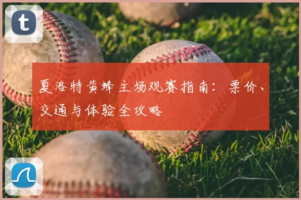 夏洛特黄蜂主场观赛指南:票价、交通与体验全攻略