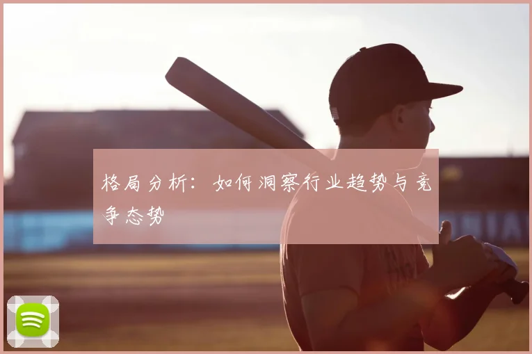 格局分析：如何洞察行业趋势与竞争态势